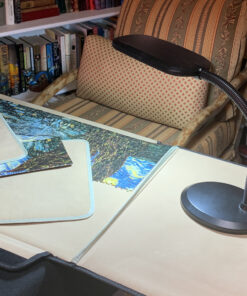 Newhouse Lighting NHDK WH Eos Reading & Craft Table LED Desk Lamp, Dimmable &Light Color Adjustable, Gooseneck Task Light, Black (NHDK-EO-BK) New Model 14 C1M72WdPLvS