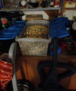 Wagner's 62008 Western Regional Blend Wild Bird Food, 20-Pound Bag 23 C1MdtfHNHS