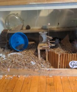 Small Pet Select Premium Small Animal Bedding, Natural Soft Paper Bedding for Small Indoor and Outdoor Pets, Made in USA, Jumbo Size 178 L Pack 38 C1Mik4lnldS