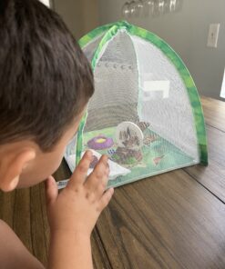 Butterfly Garden: Farm Habitat and Live Cup of Caterpillars – Life Science & STEM Education Butterfly Farm 47 C1NqNC6csQS 1