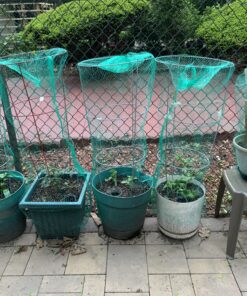 CandyHome 13Ft x 33Ft Anti Bird Protection Mesh Garden Netting Seedlings Plants Flowers Fruit Trees Vegetables from Rodents Deer Reusable Fencing, 13Ft x 33Ft, Green 23 C1ORLbP17yS
