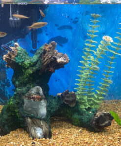 Tetra Whisper Bio-Bag Filter Cartridges For Aquariums - Unassembled BLUE Large 12 Count - Original 19 C1PFa6wJlS