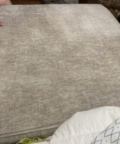 BISSELL Oxy Stain Destroyer Pet, 1784 (Packaging May Vary) 23 C1PHeDcZnOS