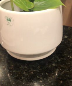 Hammermill Printer Paper, Great White 30% Recycled Paper, 8.5 x 11 - 3 Ream (1,500 Sheets) - 92 Bright, Made in the USA, 086820C 3 Ream | 1500 Sheets Letter (8.5x11) 21 C1PMj1MVY5S