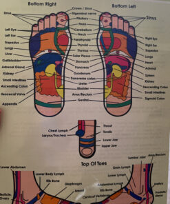 TheraFlow Foot Massager - Relaxation Gifts for Women, Mom, Runners, Men, Dad - Plantar Fasciitis Relief - Foot Roller for Foot Pain, Neuropathy, Heel Spur Pain, Stress Relief, Wooden Reflexology Tools Single Reflexology 29 C1Q aAM4TiS