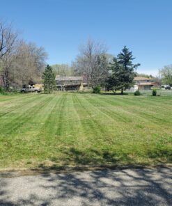 Maxpower 3 Blade Set for Many 48 in. Cut Craftsman, Husqvarna, Poulan Mowers Replaces OEM #'s 173920, 180054, PP24005, 532180054, Black 17 C1QF6iFPkuS