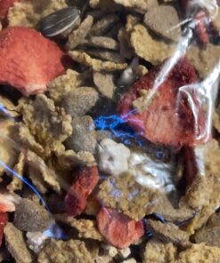 Oxbow Essentials Adult Rat Food - All Natural Adult Rat Food - Veterinarian Recommended- Made in the USA- Rich in Natural Vitamins & Minerals- No Artificial Ingredients- 3 lb. 3 Pound (Pack of 1) 31 C1QeeLj q0S