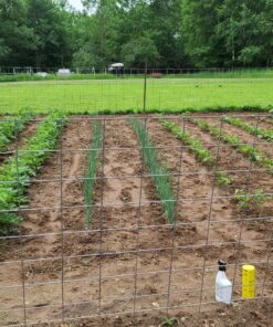 Japanese Weeding Sickle Very Sharp Edge Quick Work (Full Size) 30 C1Qjtt0pEcS
