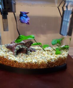 Spectrastone Shallow Creek Regular for Freshwater Aquariums, 5-Pound Bag 35 C1Qsfk0bRVS
