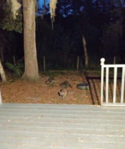 LEPOWER 3000LM Dusk to Dawn LED Security Light, 28W Flood Lights Outdoor with Photocell, 3000K Warm Light, IP65 Waterproof, 2 Adjustable Heads Exterior Outdoor Security Light for Garage, Backyard White 52 C1QwbMrwZUS