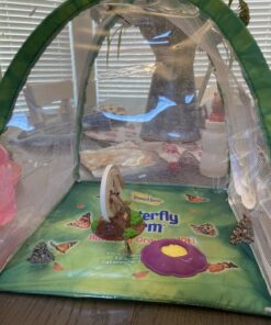 Butterfly Garden: Farm Habitat and Live Cup of Caterpillars – Life Science & STEM Education Butterfly Farm 42 C1R39 v7PS 1