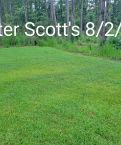 Scotts Turf Builder Lawn Food - Fertilizer for All Grass Types, 5,000 sq. ft., 12.5 lbs. 5,000 sq. ft. 41 C1RasZhf41S