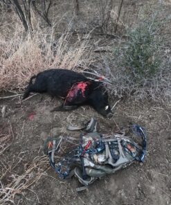 Rage Extreme 4 Blade Arrow Archery Broadhead, 100 Grain - 2 Pack 23 C1SXs4d OwS