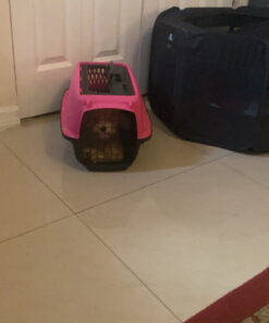 Petmate Two Door Pet Kennel for Pets up to 15 Pounds, Pink/Black, 19" Long, Made in USA Two-door 19.0"L x 13.0"W x 10.0"H 46 C1TFrgbl9qS