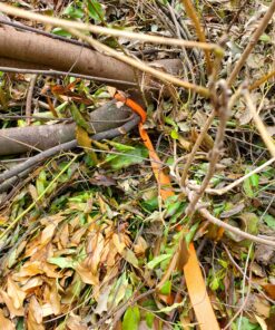 Fiskars Machete Axe - 18" Curved Blade with Nylon Sheath - Lawn and Garden Tools - Orange/Black 38 C1ThMz6BlGS