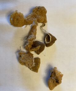 Purina ONE Chicken and Rice Formula Dry Dog Food - 8 lb. Bag Dry Food Chicken & Rice 8 Pound (Pack of 1) 50 C1Tij2p9gS