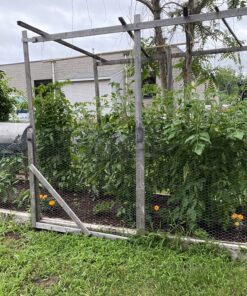 Neptune's Harvest Organic Hydrolized Fish & Seaweed Fertilizer 36 0z 36 Ounce 26 C1UKC8LbrxS