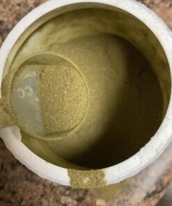 Vibrant Health, Green Vibrance, Vegan Superfood Powder, 15 Servings (FFP) 15 Servings (Pack of 1) Frustration-Free Packaging 24 C1VE1Gq3cS 1