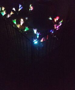 TONULAX Solar Garden Lights Outdoor - New Upgraded, Multi-Color Changing Lily Solar Lights for Patio,Yard Decoration, Bigger Flower and Wider Solar Panel (2 Pack,Purple and Red) 2 Pack 45 C1VOdHCwtKS