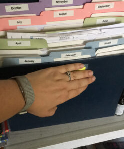 Smead Stadium File, 12 Pockets, Tear Resistant Gusset, Letter Size, Navy, Alphabetic/Daily/Monthly/Household Labels (70211) 15 C1Vpyu2LaZS