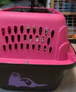 Petmate Two Door Pet Kennel for Pets up to 15 Pounds, Pink/Black, 19" Long, Made in USA Two-door 19.0"L x 13.0"W x 10.0"H 39 C1W7AyvrZjS