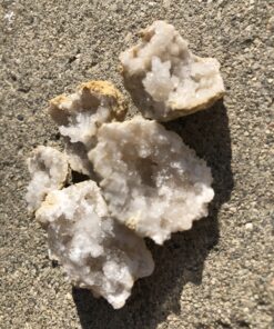 DANCING BEAR 25 Break Your Own Geodes, (Medium 1-1.5") 90% Hollow, Crack Open & Discover Amazing Surprise Crystals Inside! Educational Info and Instructions Included, Fun Party Favors & Prizes Medium (1-1.5") 43 C1WujrX4JMS