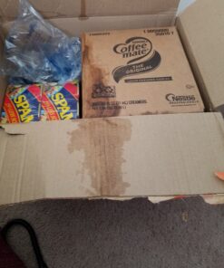 Nestle Coffee mate Coffee Creamer, Original, Liquid Creamer Singles, Non Dairy, No Refrigeration, Box of 360 54 C1XFSuqMMnS