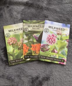 Sow Right Seeds - Milkweed Variety Seed Collection - Includes Butterfly, Common, and Showy Milkweed - Attract Monarchs and Other Butterflies to Your Garden - Non-GMO Heirloom Seeds 25 C1Zom8lz7yS