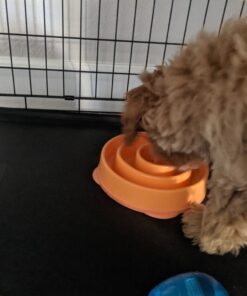 Outward Hound Fun Feeder Slo Bowl, Slow Feeder Dog Bowl, Medium/Mini, Orange 30 C1ant8f3QWS