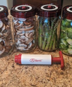 Fermenting Lids for wide mouth mason jars. 4 waterless airlock fermentation lids kit. Easy Grip fermenter lid with Oxygen Pump automatically Vents air. Tracks ferment date. (4 Lids + Pump) 41 C1c5O7rdnYS