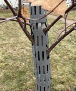 EasyFlex 1131-6C Tree Trunk Protector, 6 Count (Pack of 1), Gray 6 Count (Pack of 1) 27 C1cFAPEF3zS