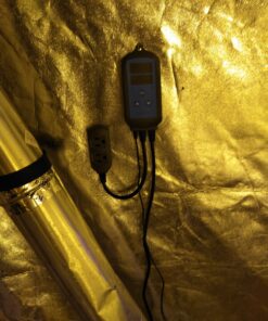 Inkbird ITC-308 Temperature Controller with IHC-200 Humidity Controller 24 C1cVoOSXK7S