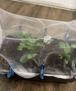 Sago Brothers 40 PCS Plant Clips Garden Clips for Tomato Cage, Tomatoes Clips Plant Support Clips for Bamboo Stakes, Climbing Plants, Vines, Gentle Plant & Flower Trellis Clips for Plant Stalks, Stems SL-40p-(20S+20L) 52 C1cxNLQ6osS