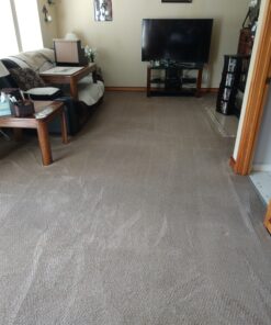 BISSELL Oxy Stain Destroyer Pet, 1784 (Packaging May Vary) 24 C1dczFZ4p S