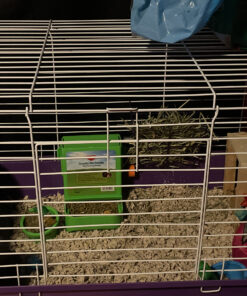 Kaytee Gravity Bin Feeder With Bracket Assorted 36 C1dnpuNAvS