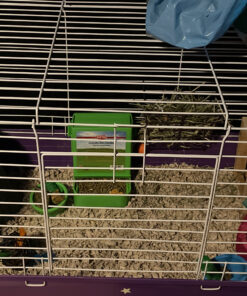 Kaytee Gravity Bin Feeder With Bracket Assorted 37 C1dzrk2AO1S