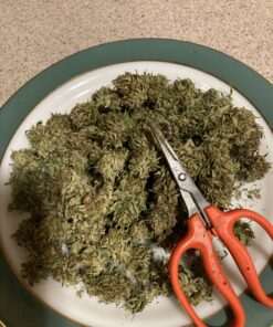 Fox Farm FX14049 Liquid Nutrient Trio Soil Formula: Big Bloom, Grow Big, Tiger Bloom (Pack of 3 - 32 oz. bottles) 22 C1eqYsFD7fS