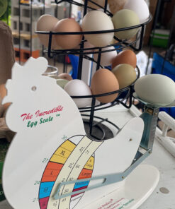 Alternative view of The Incredible Egg Scale 1
