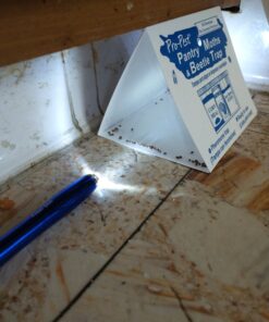 Pro Pest Pantry Moth & Beetle Traps 2 Pre-Baited Traps 23 C1gMRN1OuDS