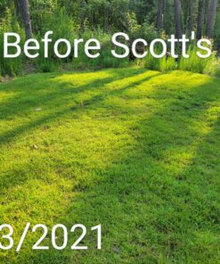 Scotts Turf Builder Lawn Food - Fertilizer for All Grass Types, 5,000 sq. ft., 12.5 lbs. 5,000 sq. ft. 42 C1gmvjQlebS