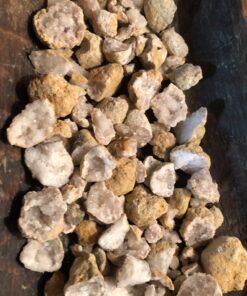 DANCING BEAR 25 Break Your Own Geodes, (Medium 1-1.5") 90% Hollow, Crack Open & Discover Amazing Surprise Crystals Inside! Educational Info and Instructions Included, Fun Party Favors & Prizes Medium (1-1.5") 47 C1gqiM0EwRS