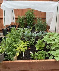 Plant Covers Freeze Protection 0.9oz 8Ft x 24Ft Rectangle Plant Cover for Cold Protection,Season Extension 46 C1hQHceZdS