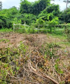 Fiskars Machete Axe - 18" Curved Blade with Nylon Sheath - Lawn and Garden Tools - Orange/Black 41 C1hRbJlPJRS 1