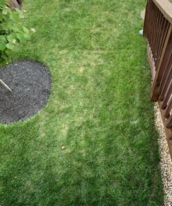 Scotts Turf Builder Lawn Food - Fertilizer for All Grass Types, 5,000 sq. ft., 12.5 lbs. 5,000 sq. ft. 52 C1i7IM5AQRS