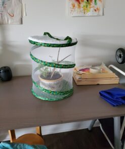 RESTCLOUD Insect and Butterfly Habitat Cage Terrarium Pop-up 12" x 14" Tall 20 C1iyEbelIJS