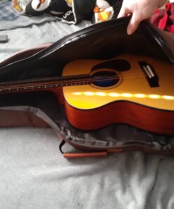 CAHAYA Guitar Bag 40 41 42 Inches 6 Pockets Guitar Case Water Resistent Oxford Cloth 0.5 Inch Extra Thick Sponge Overly Padded for Acoustic Classical Guitar with Anti-theft Pocket CY0150 50 C1jZHqGd3aS