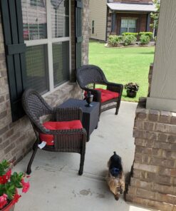 Pillow Perfect Outdoor/Indoor Pompeii Tufted Seat Cushions (Round Back), 19" x 19", Red, 2 Pack Round Corner - 19" x 19" Pillow 40 C1jar8qC9SS