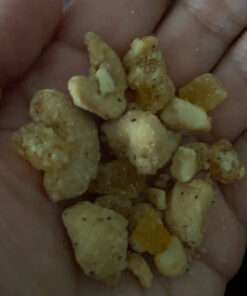 Sahale Snacks Tangerine Vanilla Cashew Macadamia Glazed Mix, 1.5 Ounces (Pack of 9) 17 C1k3qPwFm8S