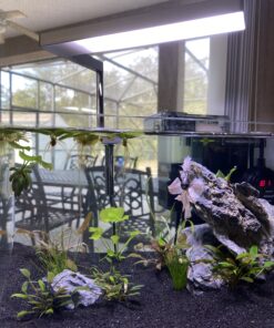 ONF Flat Nano Full Spectrum LED Aquarium Light, Dimmable 7000K / 1300lm, for <10 Gallons Rimless Fish Tanks, Freshwater Aquatic Plant Growth, Terrarium Spotlight, Potted Plant IP54 Waterproof (Silver) Silver 48 C1lzd5JH5ZS