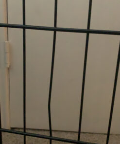 MidWest Homes for Pets Dog Crate Life Stages 36' Double Door Folding Metal Dog Crate | Divider Panel, Floor Protecting Feet, Leak-Proof Dog Pan | 35.63 in x 24.45 in x 21.93 in ,Intermediate Dog Breed 36.0"L x 23.0"W x 25.0"H Lifestages; Double Door 49 C1mb9CU7nJS